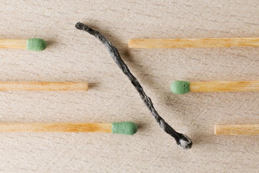 Title: Beat the Odds: Overcoming Gamblers Fallacy in Decision-Making