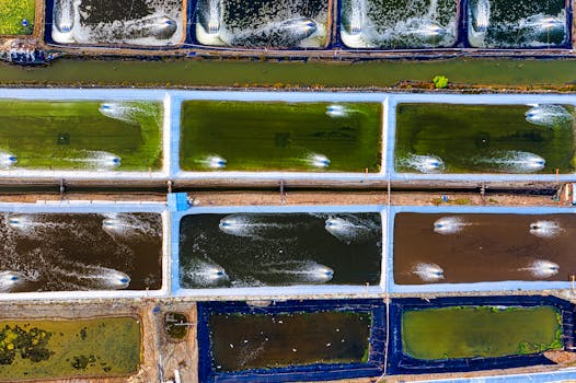 From Villas to VR: Tracing the Dynamic Evolution of Casinos Worldwide